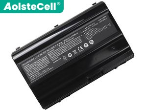 Battery for Clevo P750DM2-G